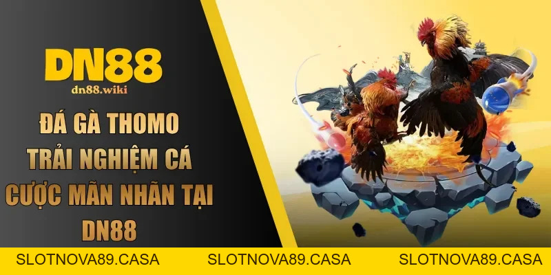 DN88 - Link Đăng Nhập DN88 Chính Thức 2026 | Đăng Ký +88K