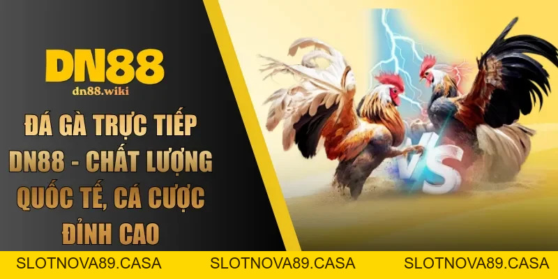 DN88 - Link Đăng Nhập DN88 Chính Thức 2026 | Đăng Ký +88K