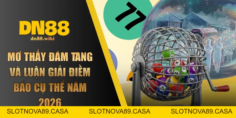 DN88 - Link Đăng Nhập DN88 Chính Thức 2026 | Đăng Ký +88K