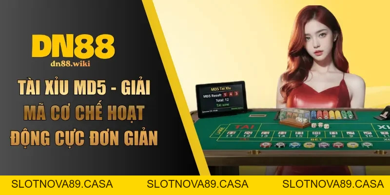 Casino DN88 Trải Nghiệm Giải Trí Đỉnh Cao Chuẩn Quốc Tế