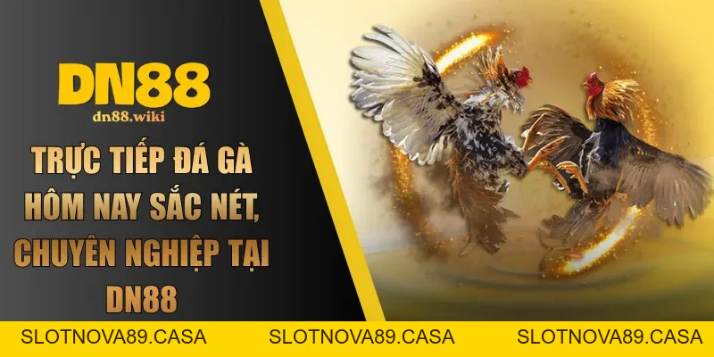DN88 - Link Đăng Nhập DN88 Chính Thức 2026 | Đăng Ký +88K